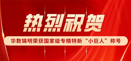 热烈祝贺华数锦明荣获国家级专精特新“小巨人”企业称号